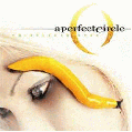 A Perfect Circle [Thirteenth Step]