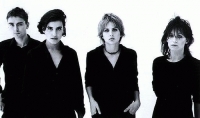  Elastica