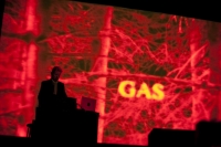  Gas