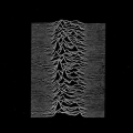  Joy Division [Unknown Pleasures]