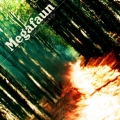  Megafaun [Gather, Form & Fly]