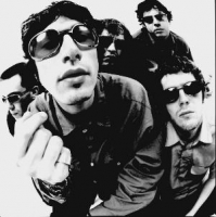  Super Furry Animals