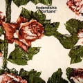  Tindersticks [Curtains]